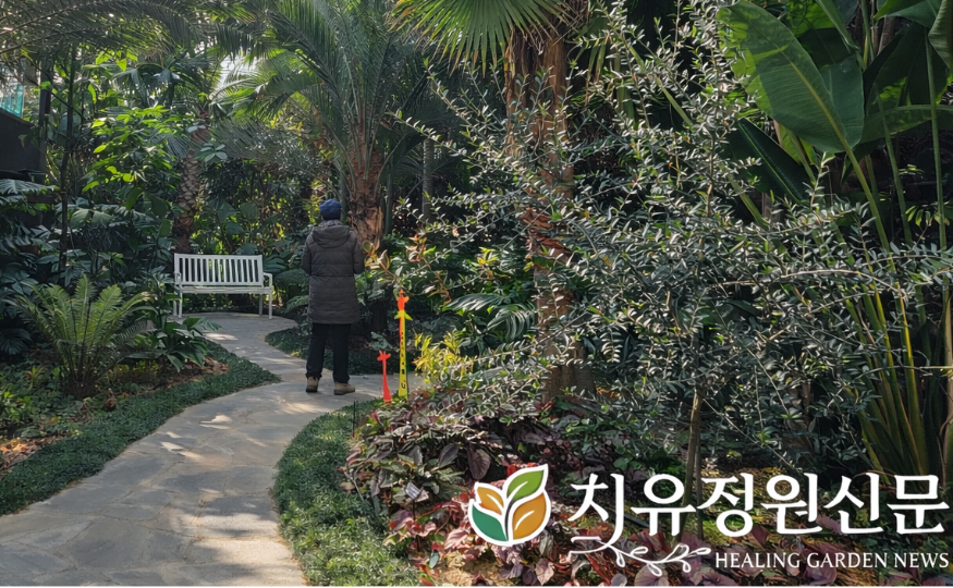 ChatGPT Image 2026년 강릉솔향수목원전시실 (6).png