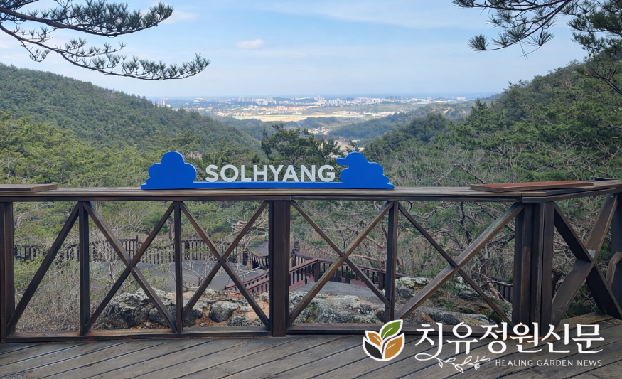 ChatGPT Image 2026년 강릉솔향수목원하늘정원 (2).png