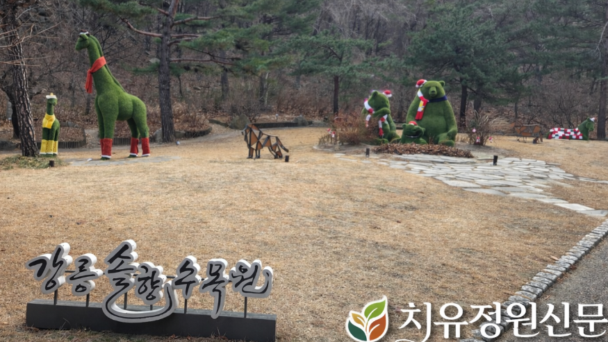 워ChatGPT Image 2026년 강릉솔향수목원 잔디광장 (2).png